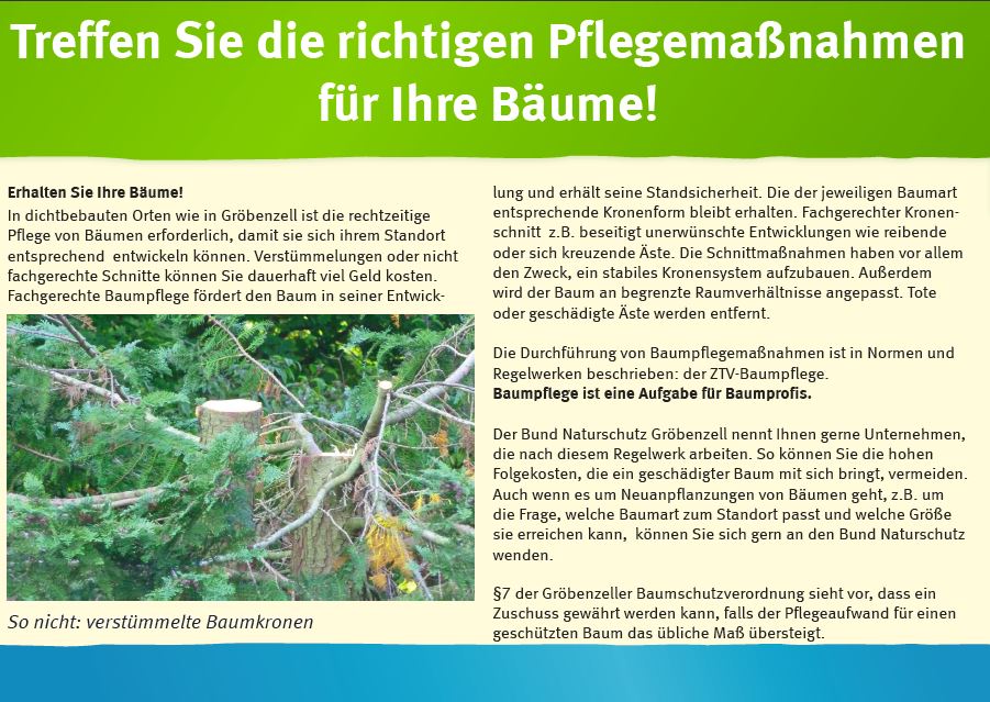 Baumschutz vor Wunden - So wird dem Baum geholfen